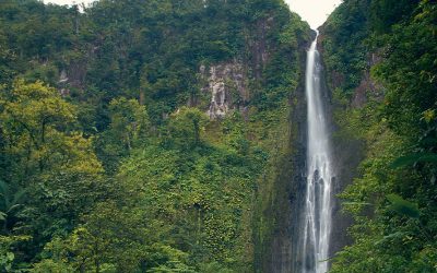 La Guadeloupe et ses défis environnementaux