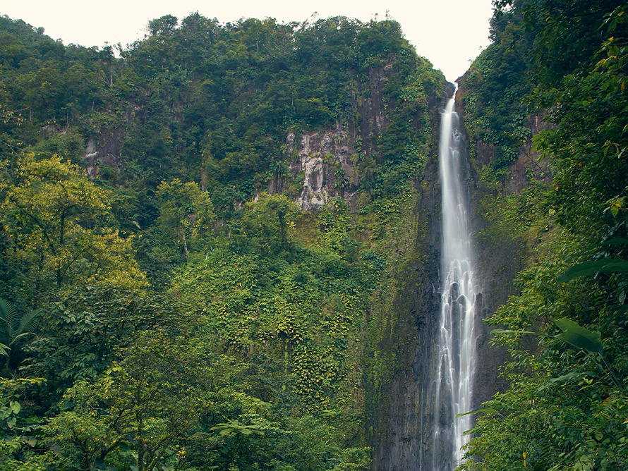 La Guadeloupe et ses défis environnementaux